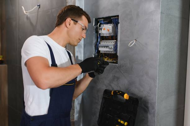 Best Electric Panel Repair  in Sneads, FL