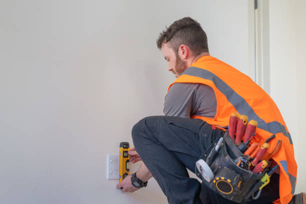 Best Electrical Repair Services  in Sneads, FL