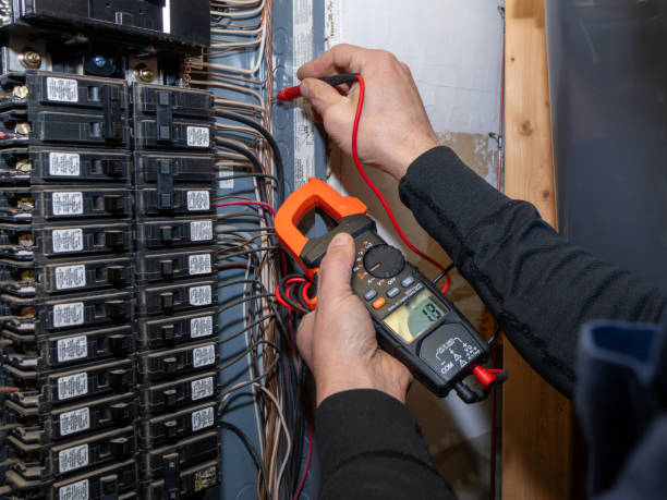 Best Ceiling Fan Installation Electrician  in Sneads, FL